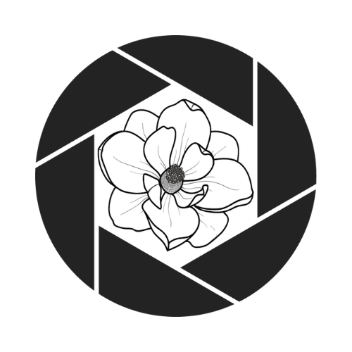 flyingmagnolia.com